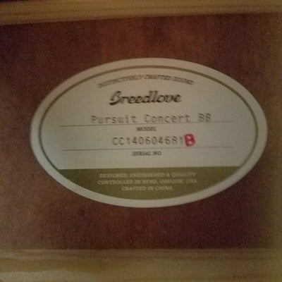 Breedlove Pursuit concert BB Acoustic Guitar