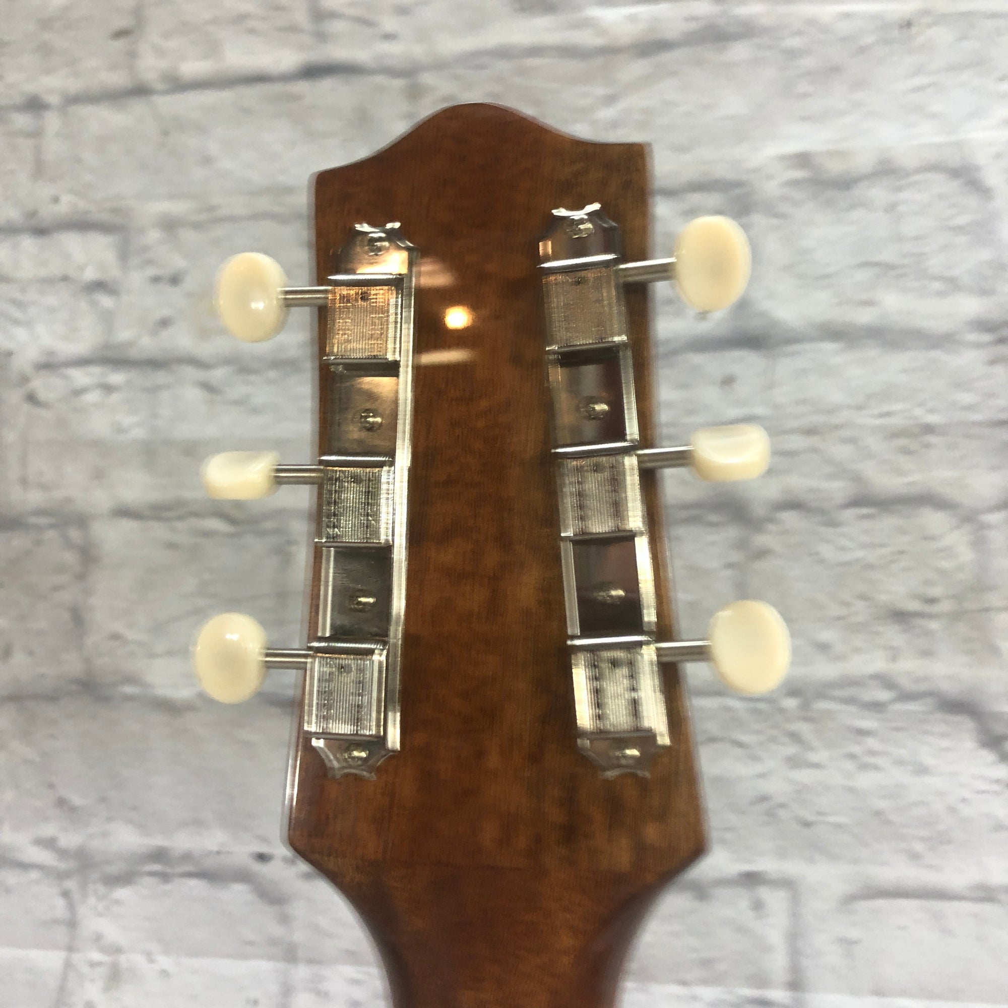 Loar LH301T Hollow Body Electric Guitar