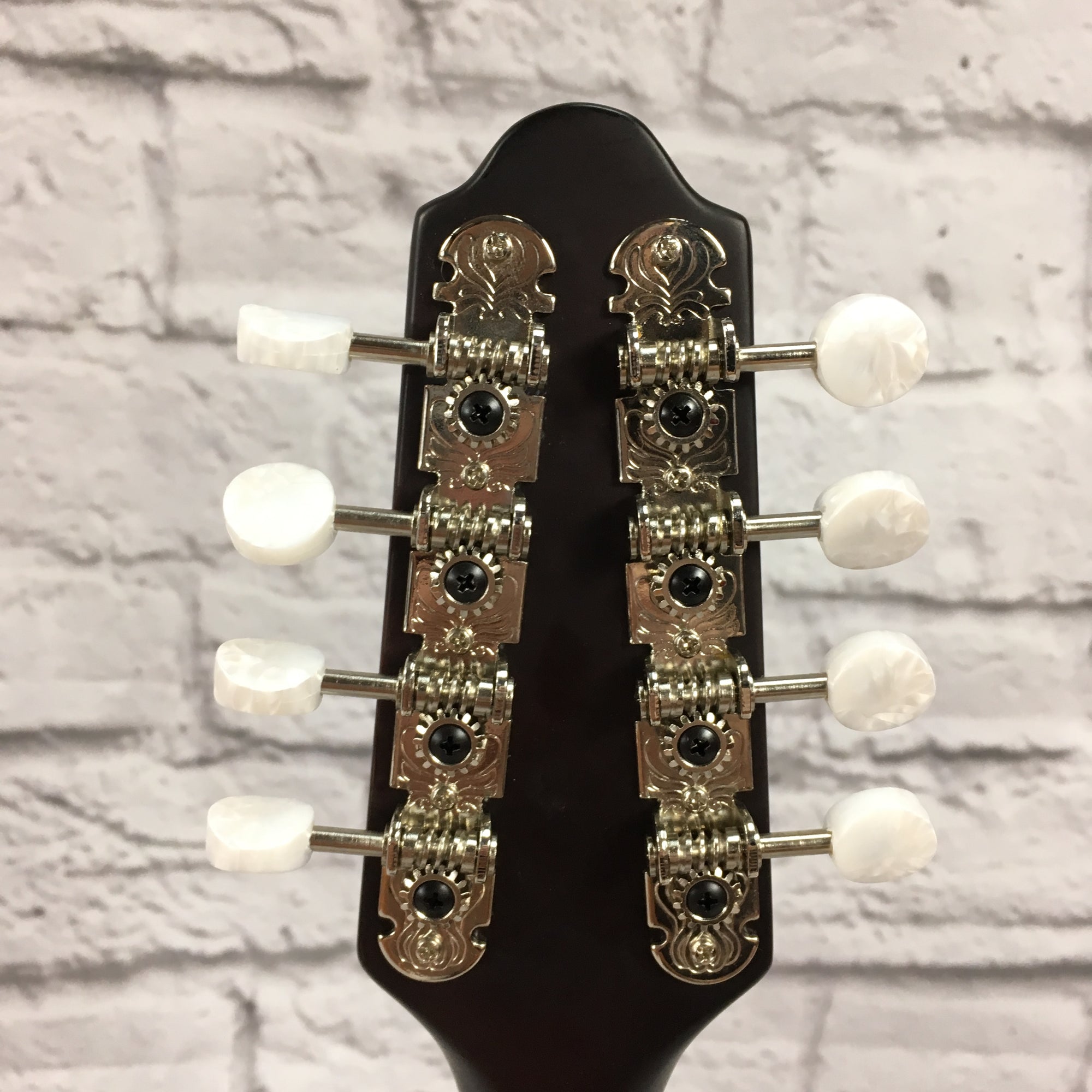 Loar LM-110 BRB Mandolin