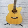 Austin AA25-OEC Acoustic Guitar