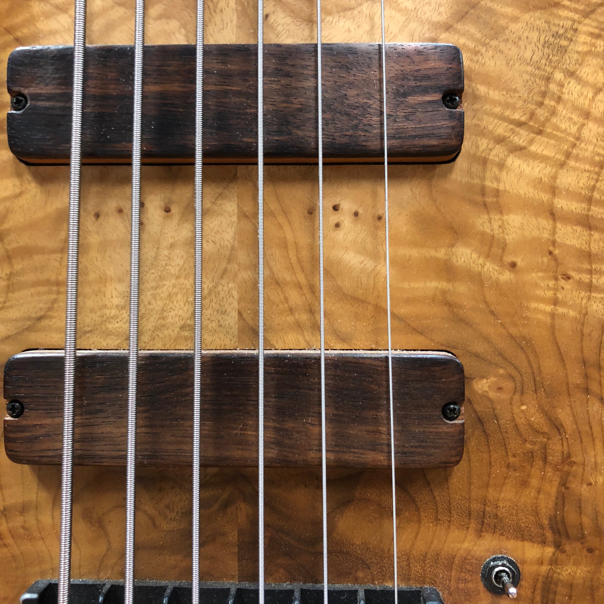 **Stambaugh 6 String Active Bass DCSN