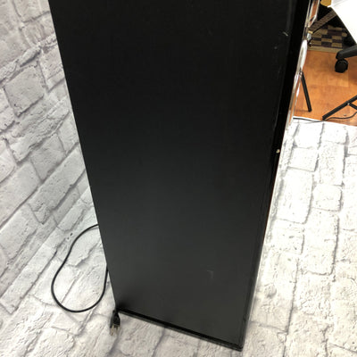 Unknown Powered Karaoke Speaker