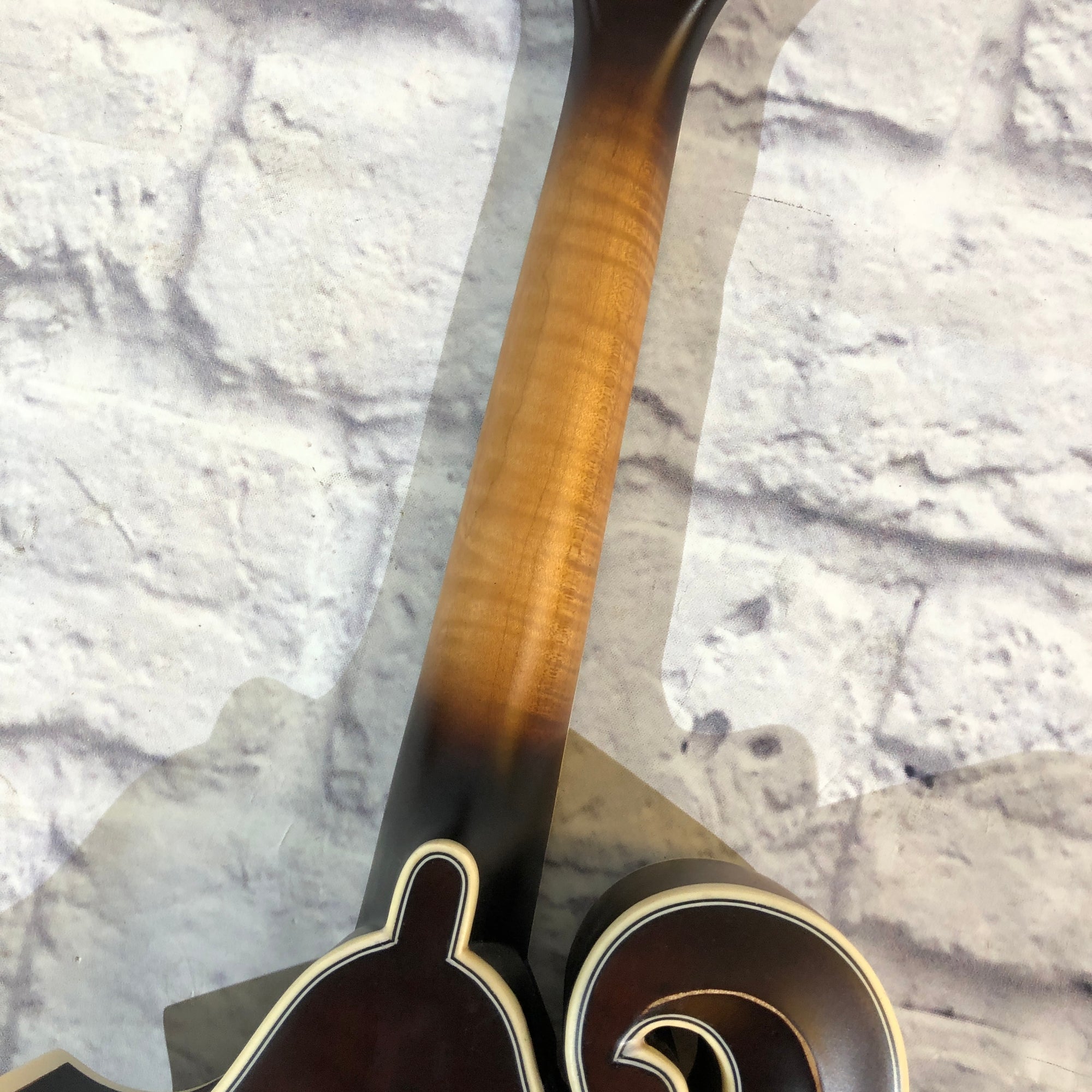 Michael Kelly Legacy Dragonfly F Style Mandolin