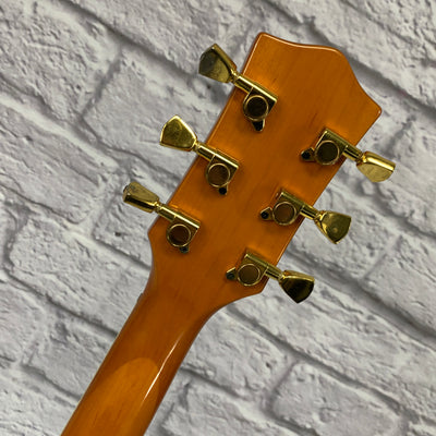 Acrylic LP Style Electric Guitar