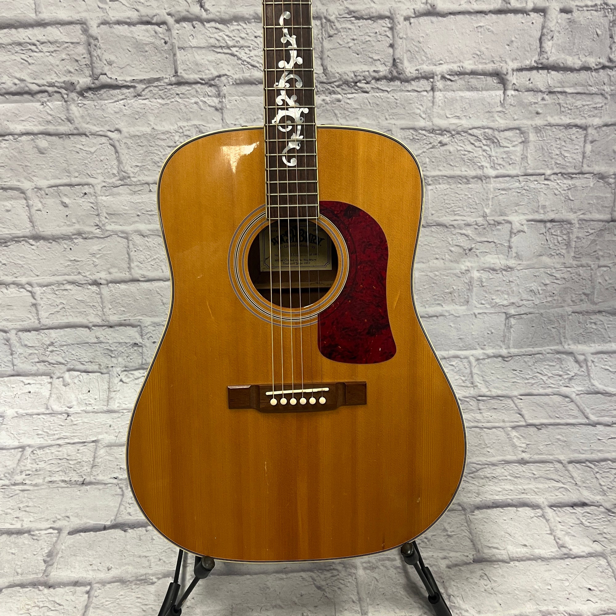 Washburn D95LTD Acoustic Guitar - Evolution Music