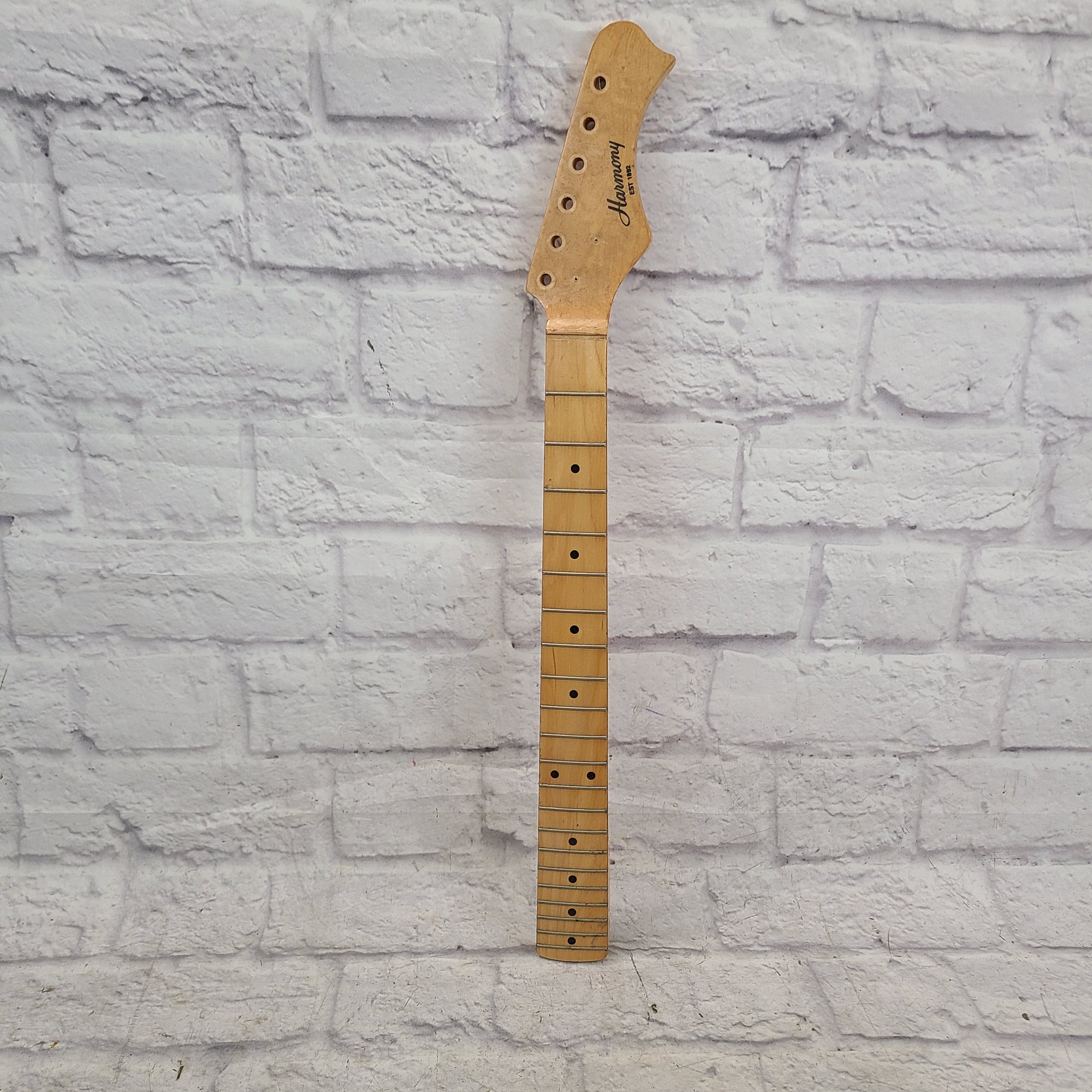 Harmony Maple 21 Fret Neck Neck