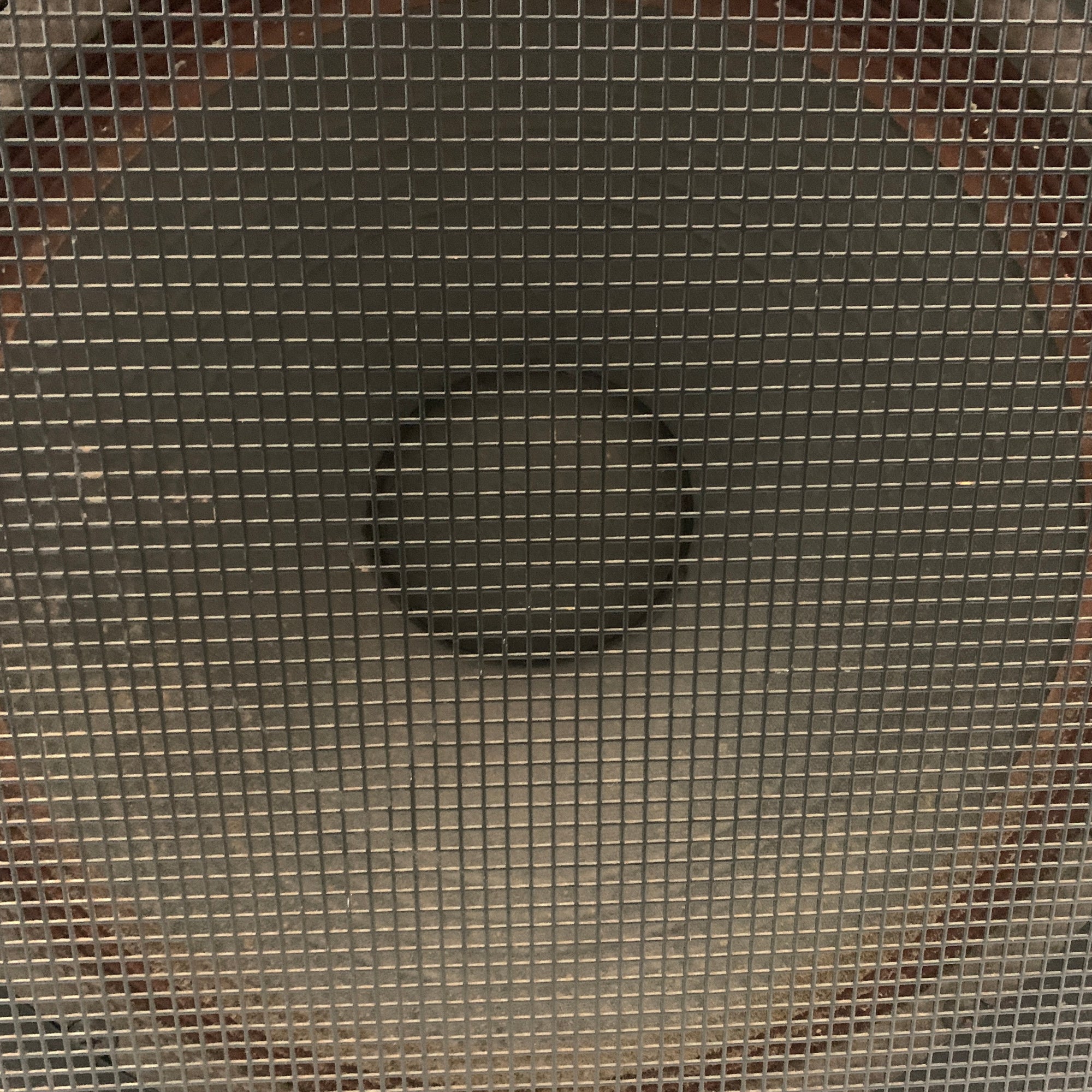 Traynor CS-115H Passive Speaker Cabinet