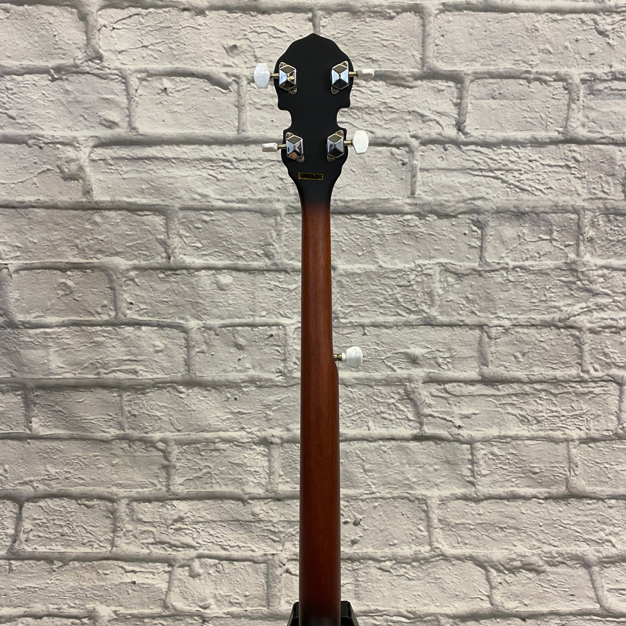 Savannah SB- 100 Mahogany 5-String Banjo