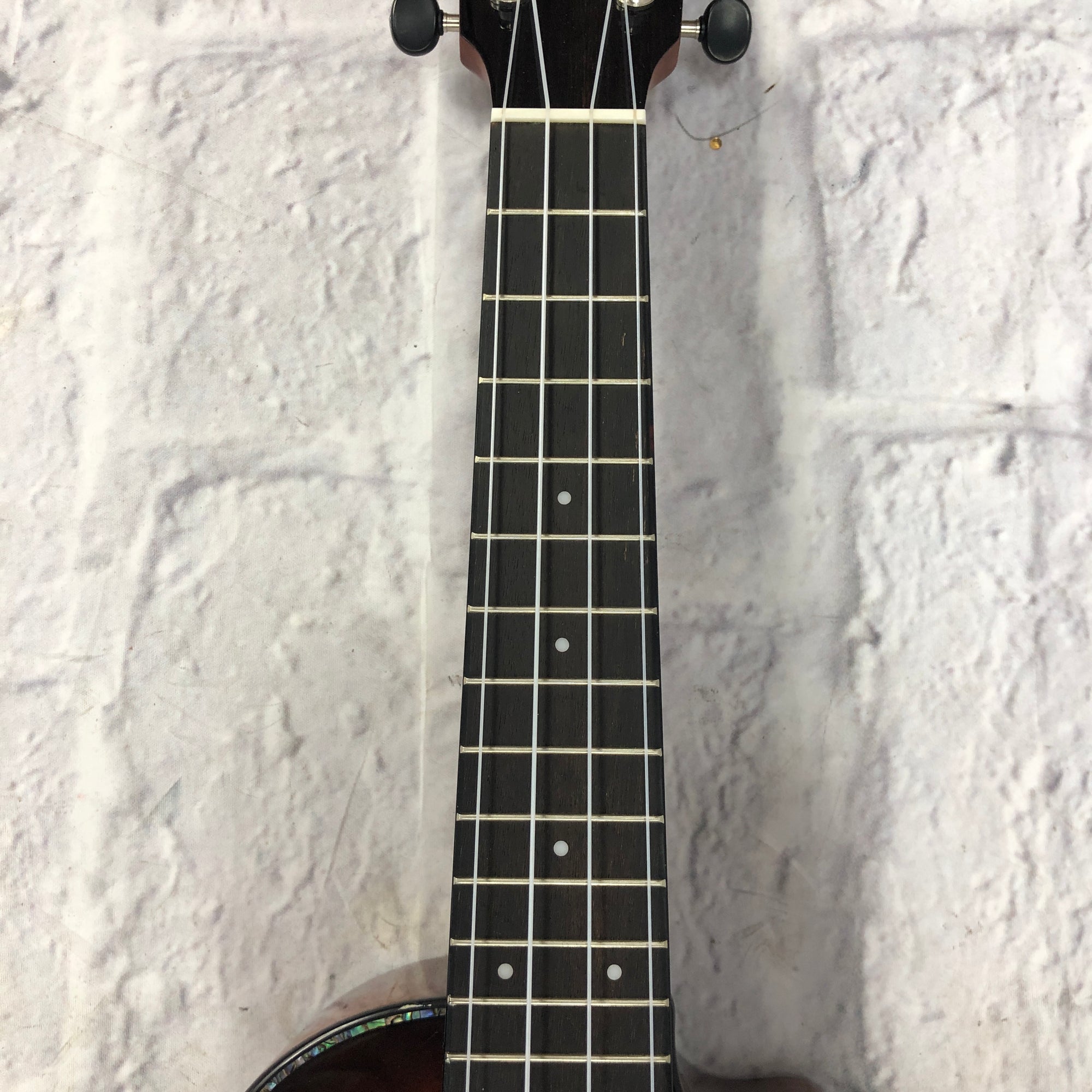 Breedlove Ex Cu Ce Bo Acoustic Electric Concert Ukulele