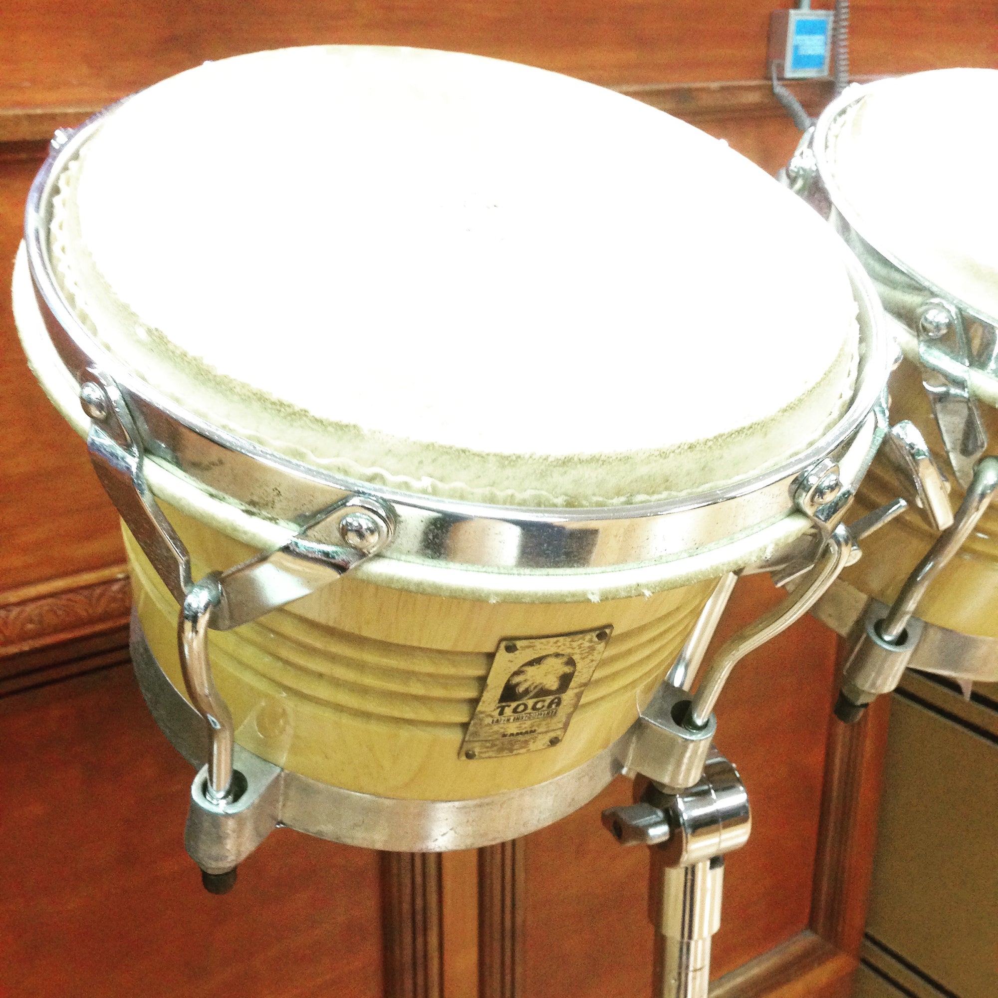 Toca Bongos w/ Stand