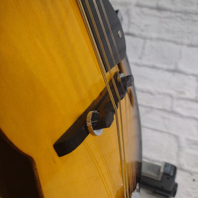 Rogue RM100A A-Style Mandolin with Bag