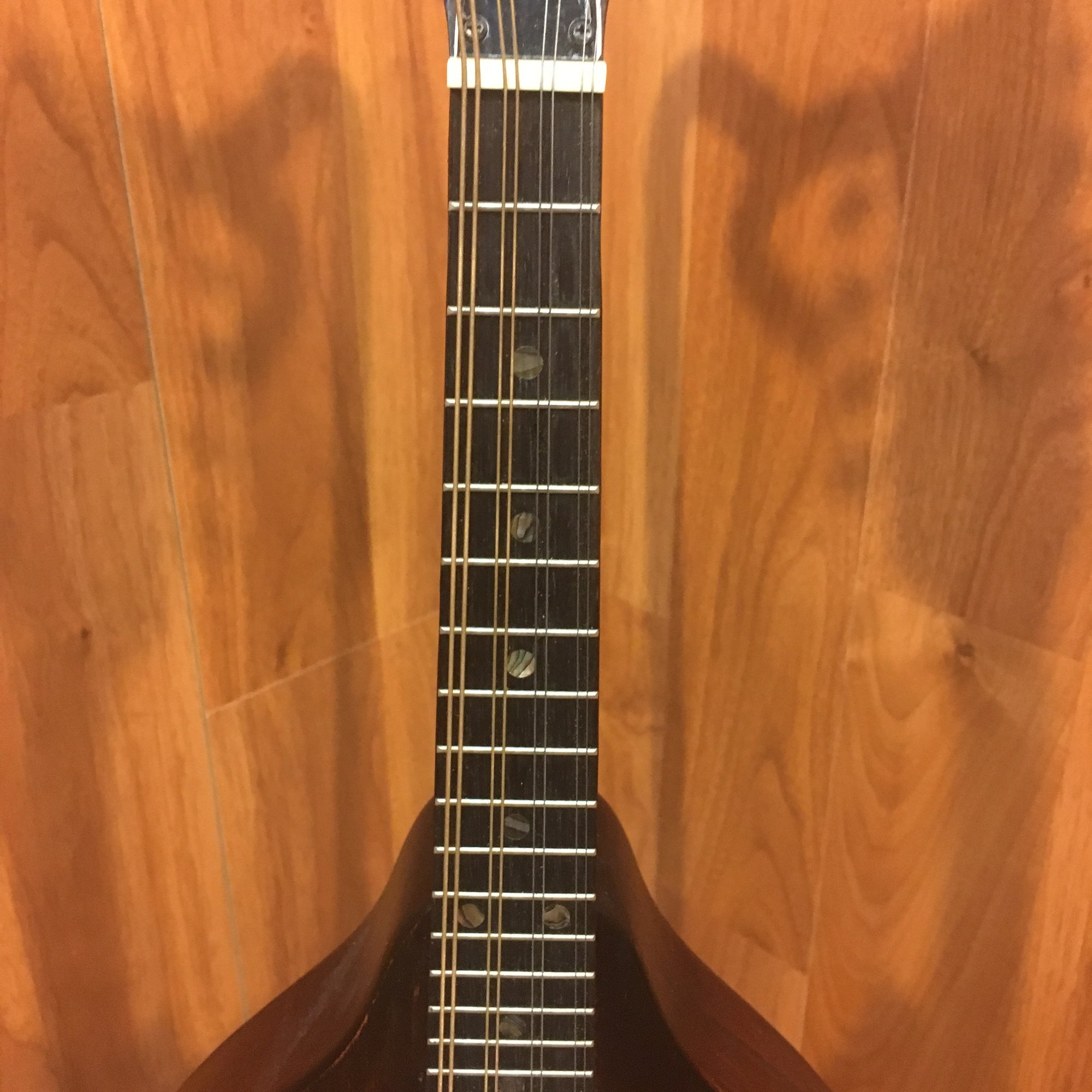 Morgan Monroe Mdam 300 Mandolin