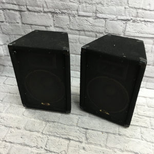 Unknown Black Passive PA Pair