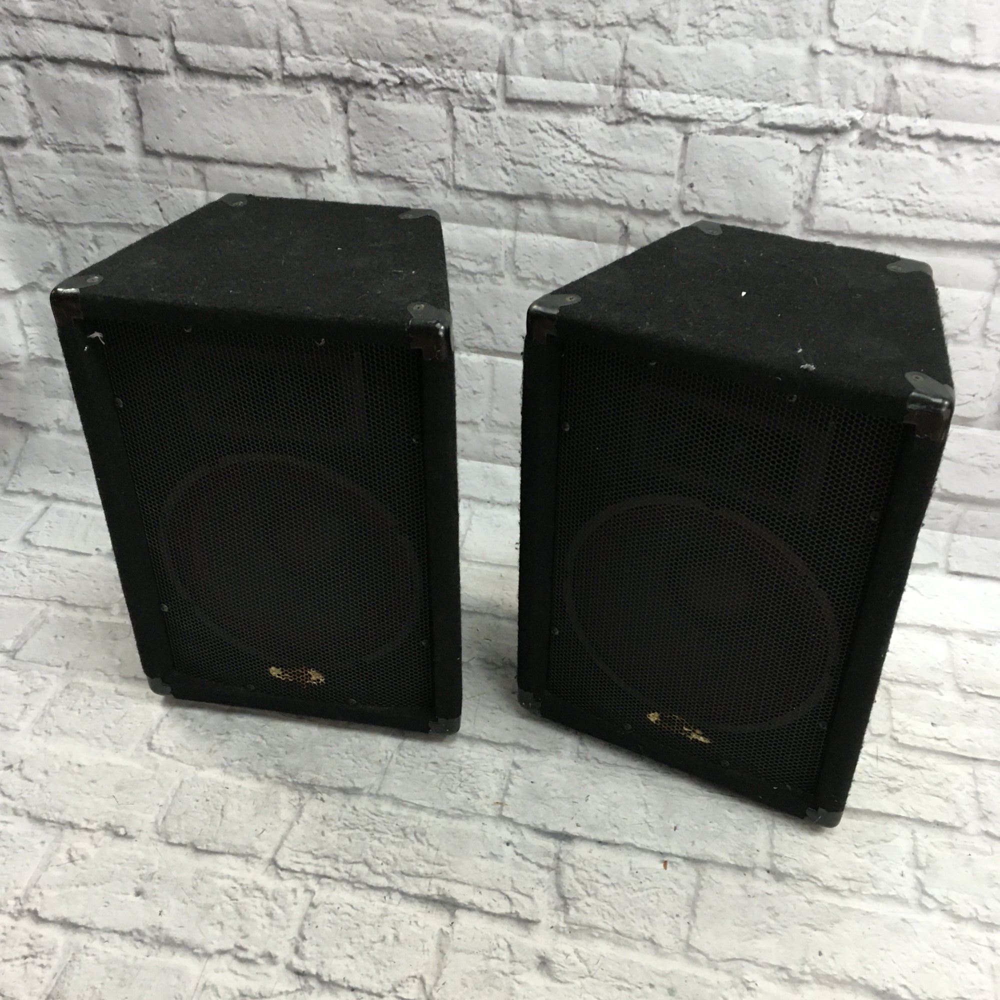 Unknown Black Passive PA Pair