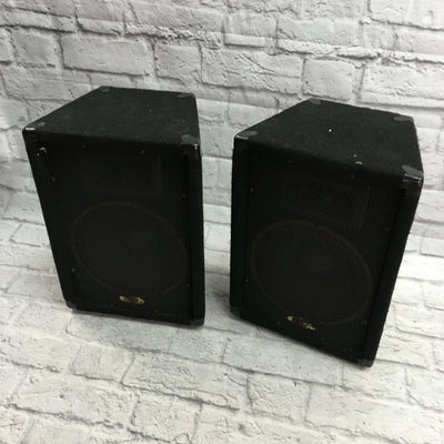 Unknown Black Passive PA Pair