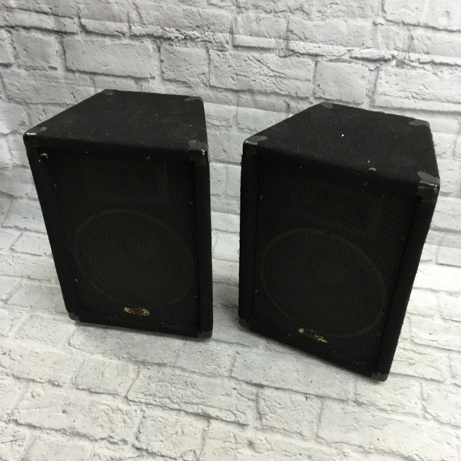 Unknown Black Passive PA Pair