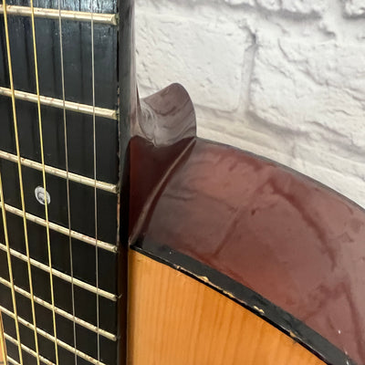 Hohner HW200 Acoustic Guitar