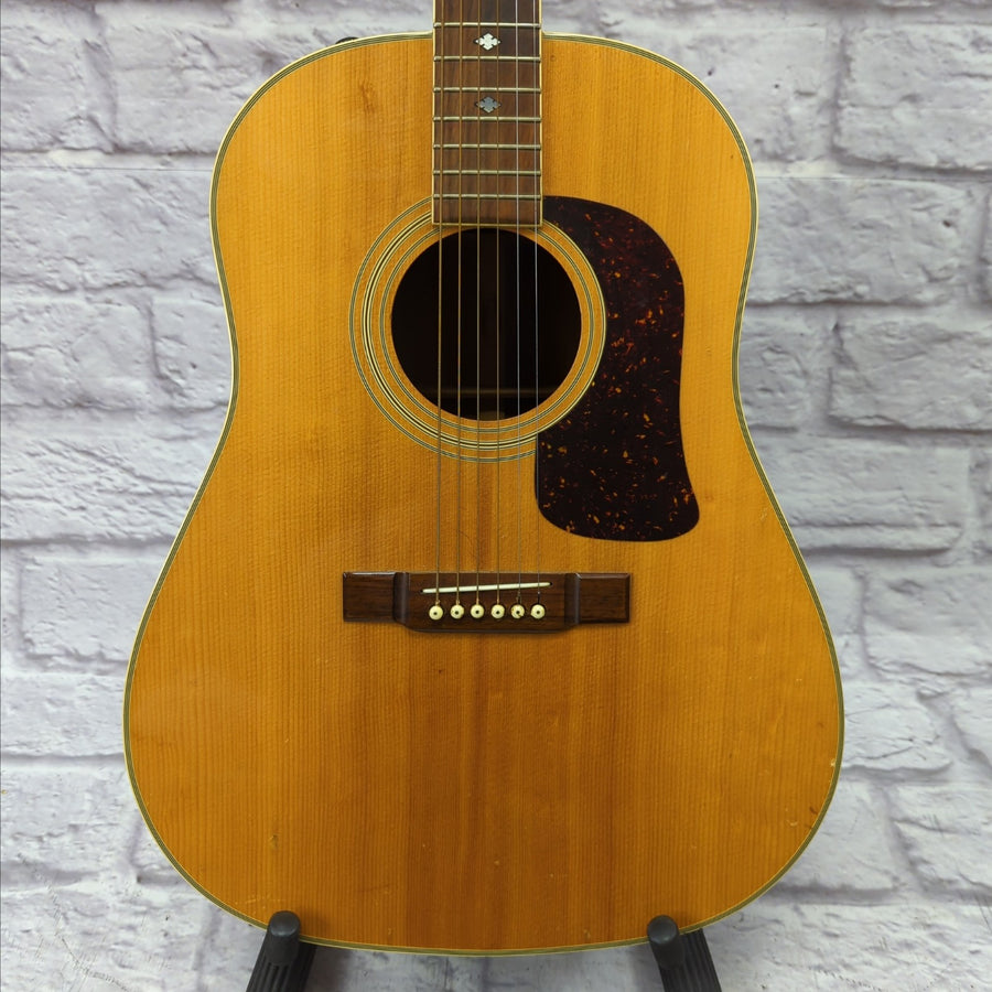 Vintage Washburn D25S Acoustic Electric Guitar Natural