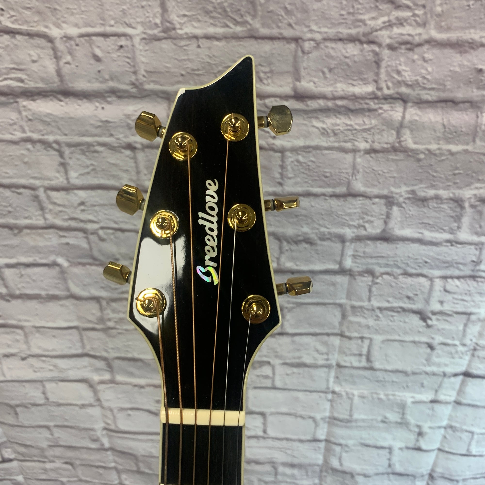 Breedlove Stage EX Sitka Top Concert Acoustic