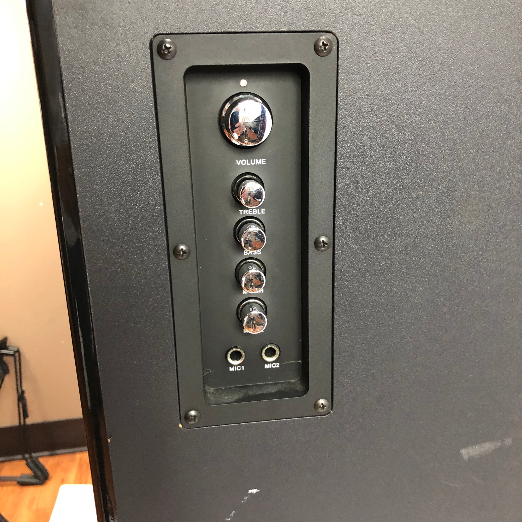 Unknown Powered Karaoke Speaker