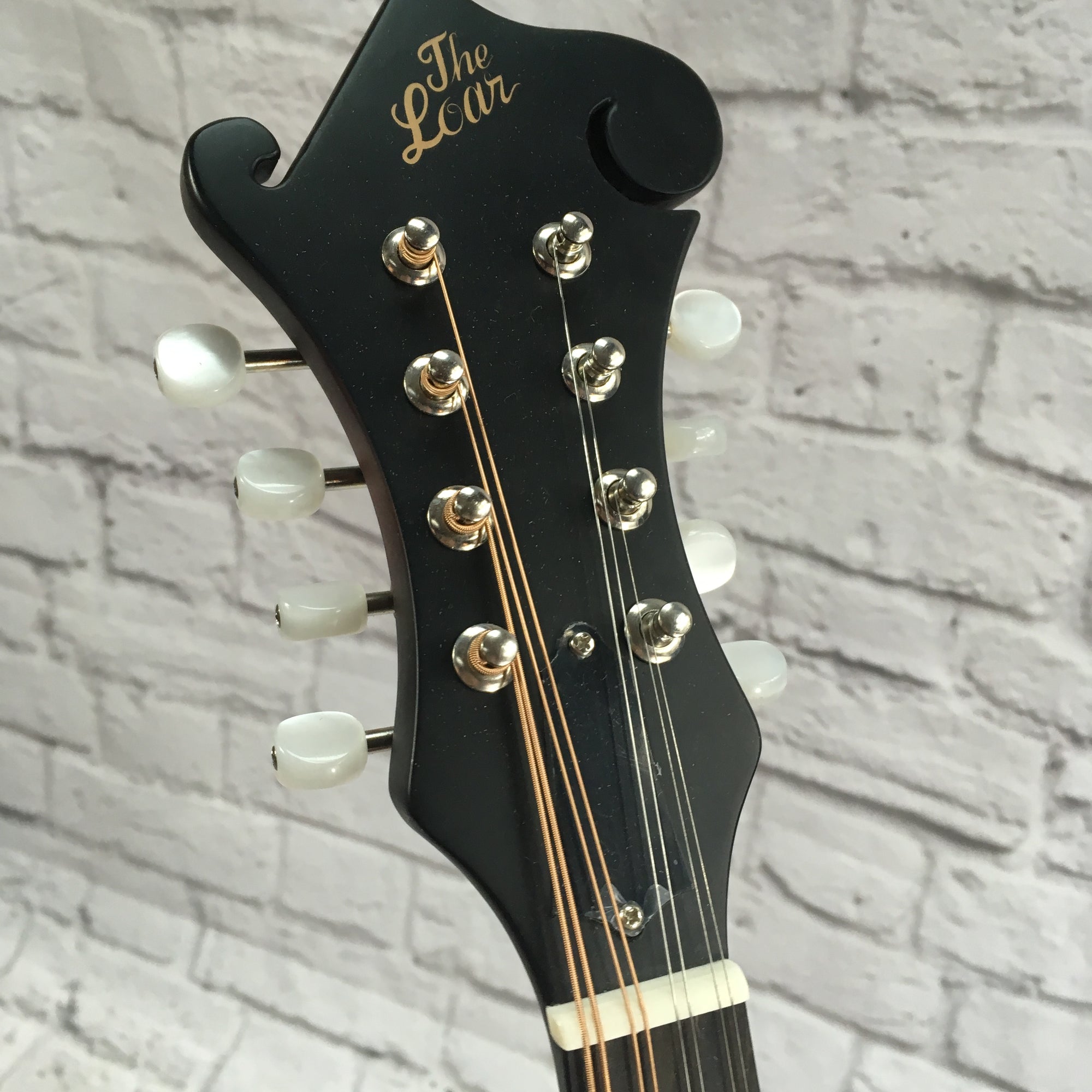 Loar LM310F F Style Mandolin