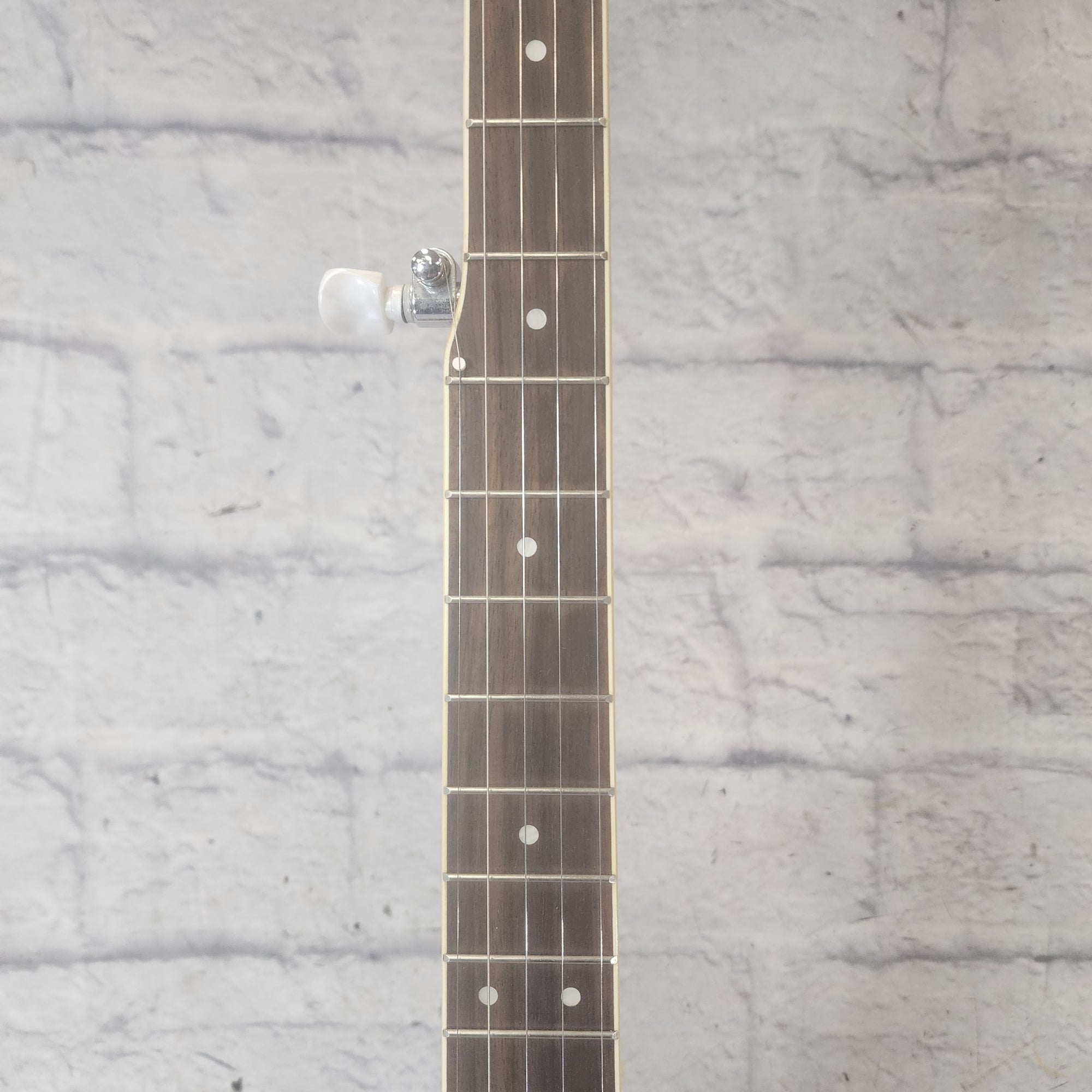 RW Jameson 5-String Banjo Banjo