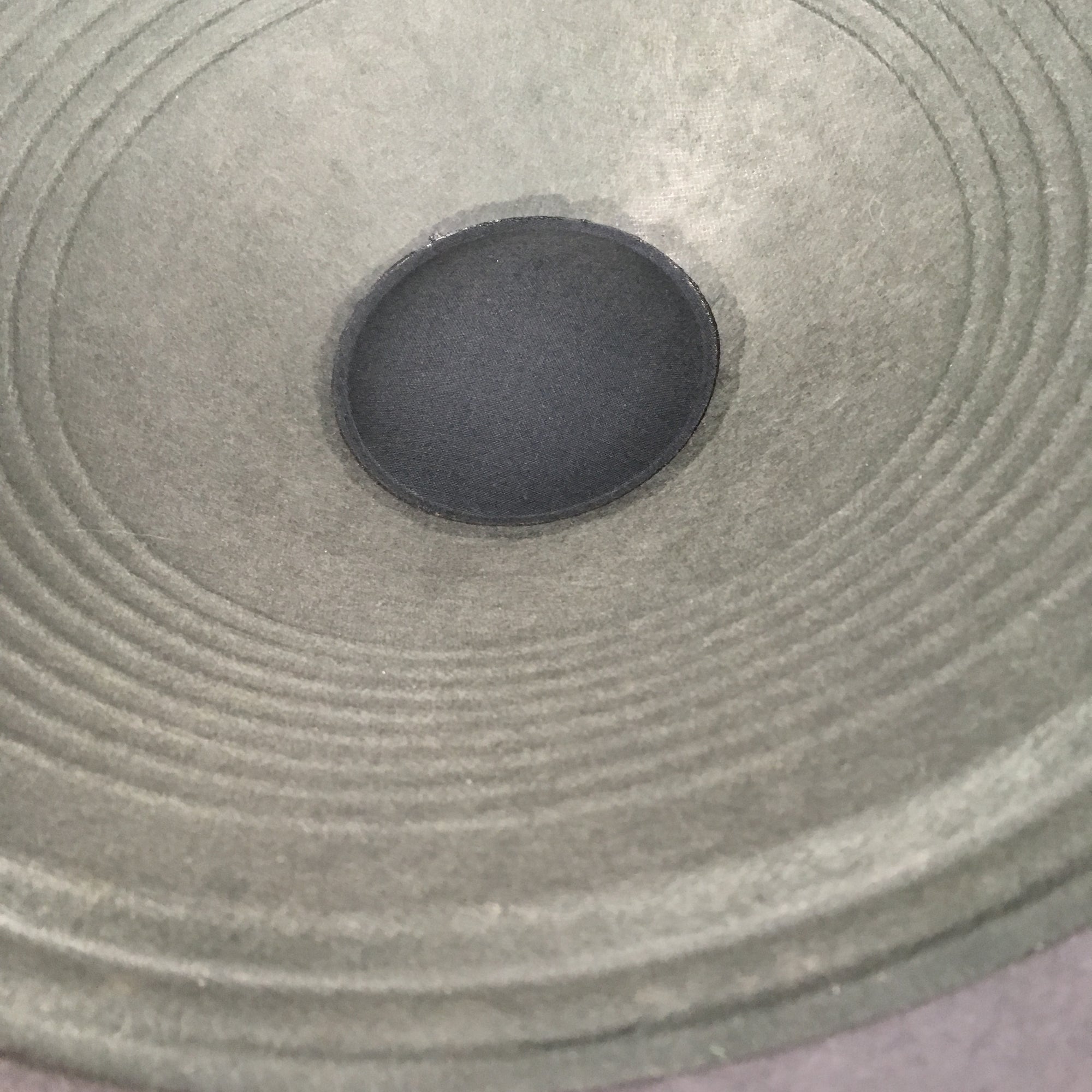 Tone Tubby Ceramic 12in Speaker