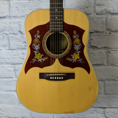 Global Acoustic Double Pickguard