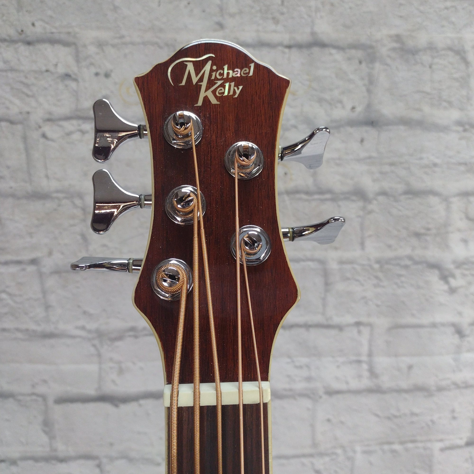 Michael Kelly MKSTAB5 5-String Acoustic Bass