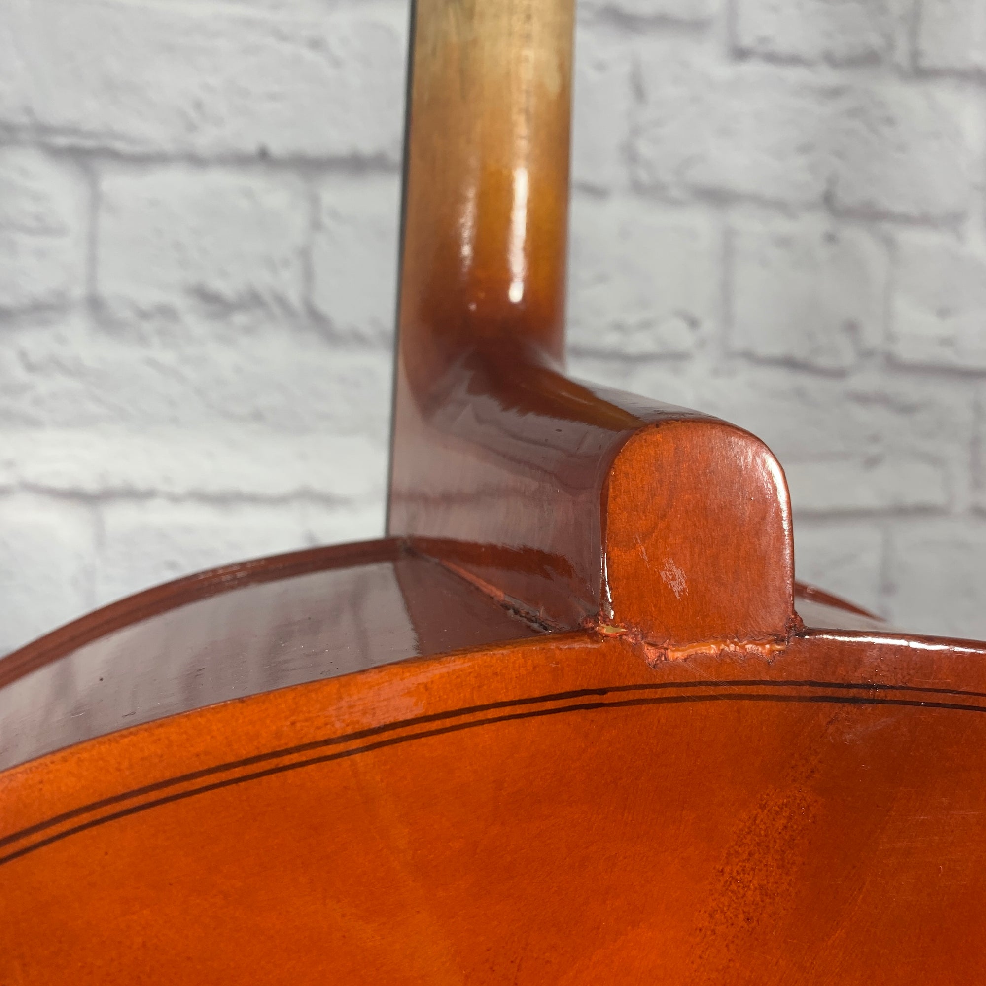 D Luca Meister Series MC100 4/4 Cello - S/N 886524631