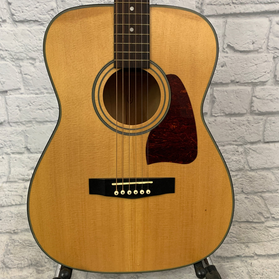 Ibanez Artwood AC50LG Acoustic Guitar with Case