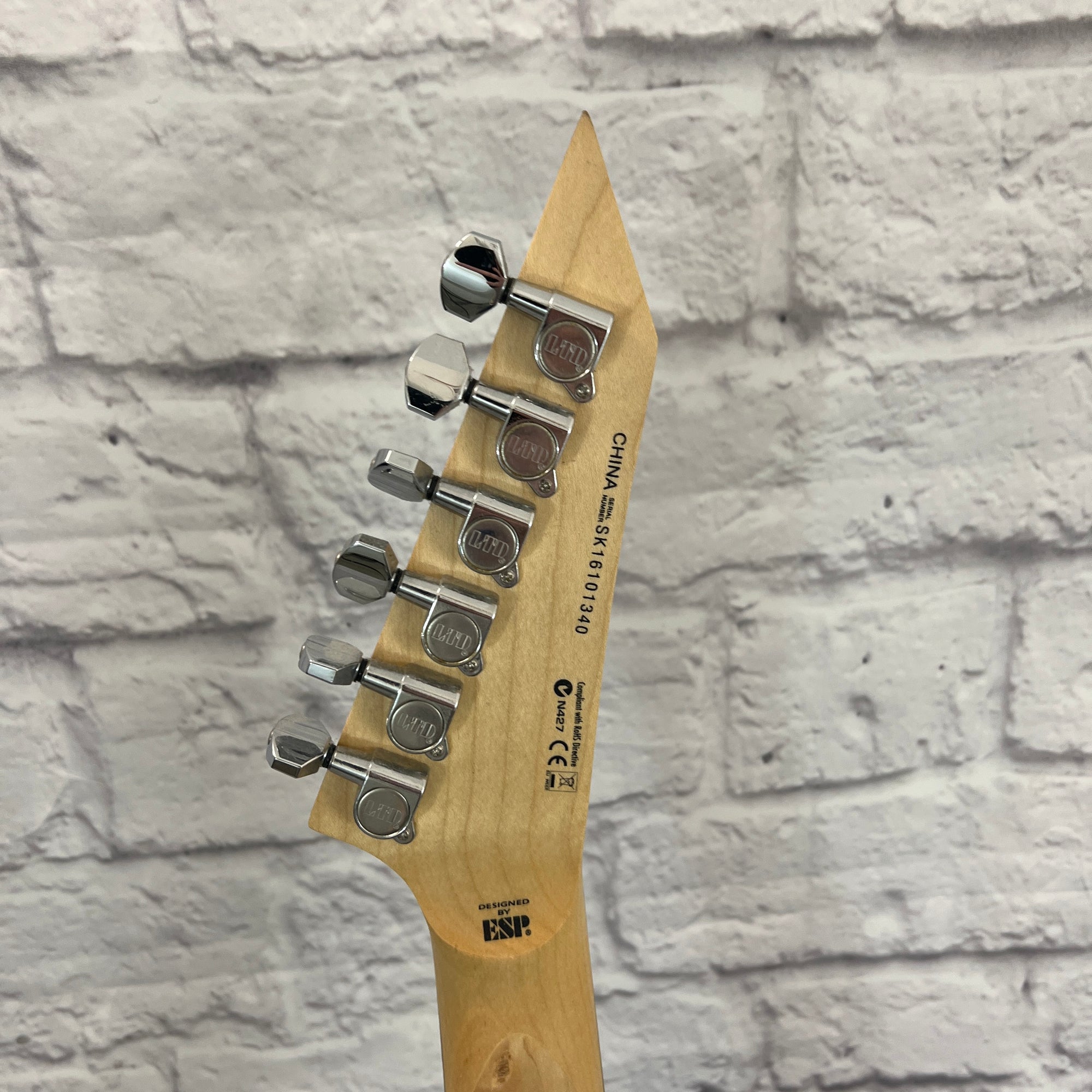 LTD M10 Electric Guitar