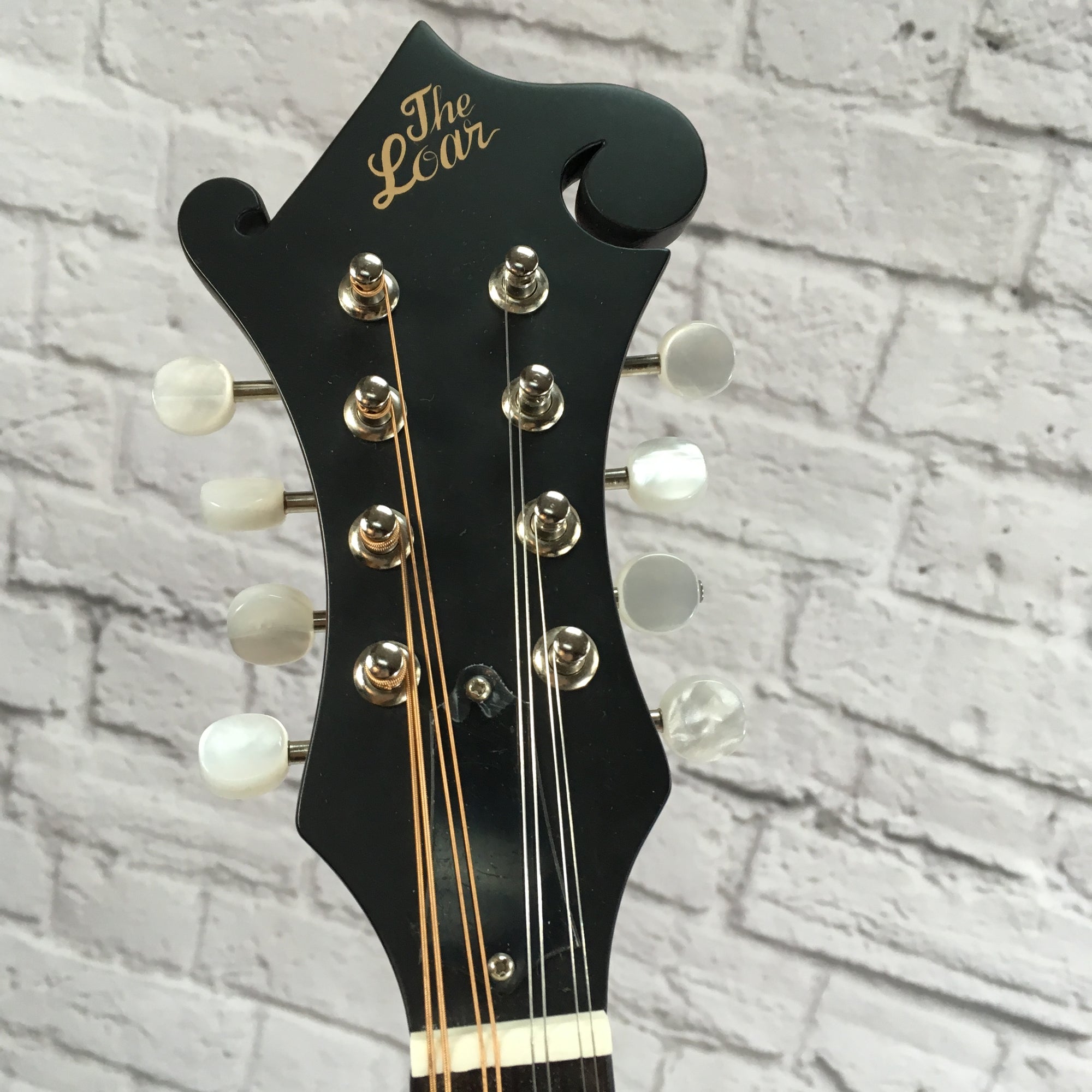 Loar LM310F F Style Mandolin