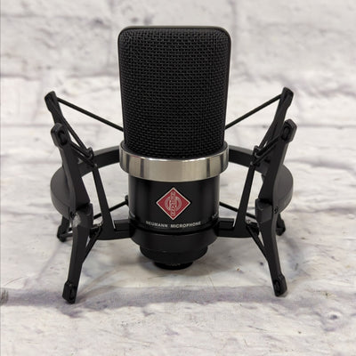 Neumann TLM 102 Large Diaphragm Cardioid Condenser Microphone with Shock Mount