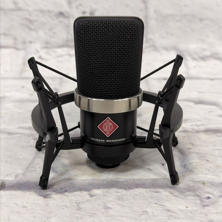 Neumann TLM 102 Large Diaphragm Cardioid Condenser Microphone with Shock Mount