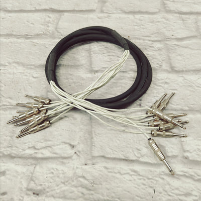 ProCo Acculink AC-8 (AC8) 1/4" to 1/4" Patch Snake Cable 10ft 10'