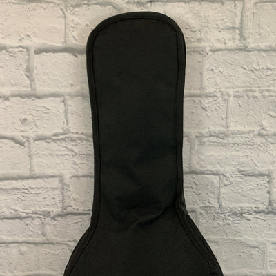 Unknown Acoustic Gig Bag