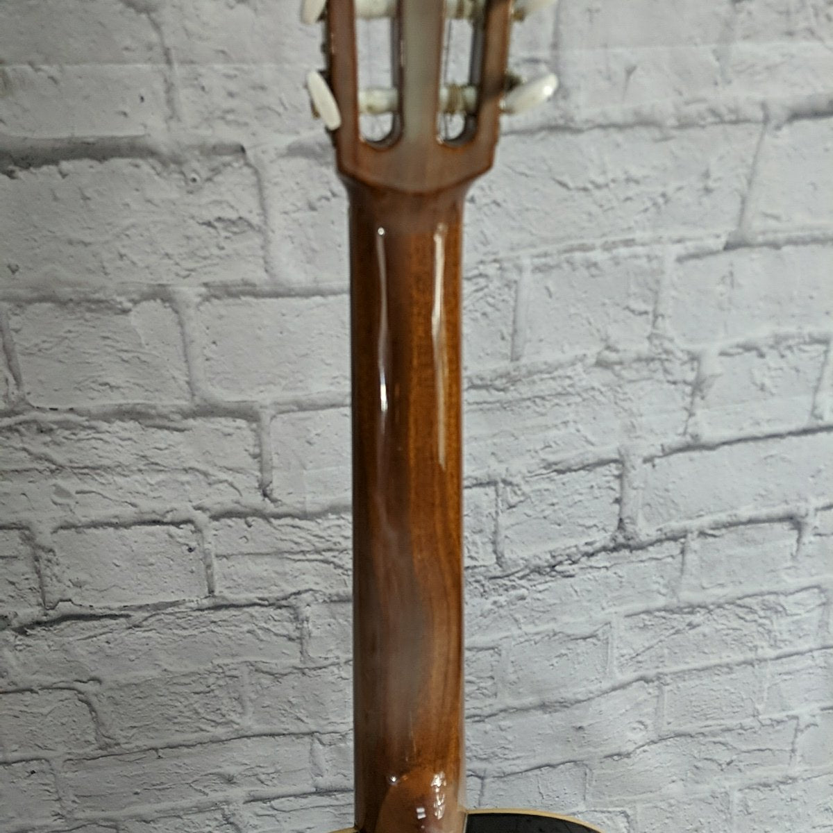 Cordoba 20 Estudio Classical Guitar