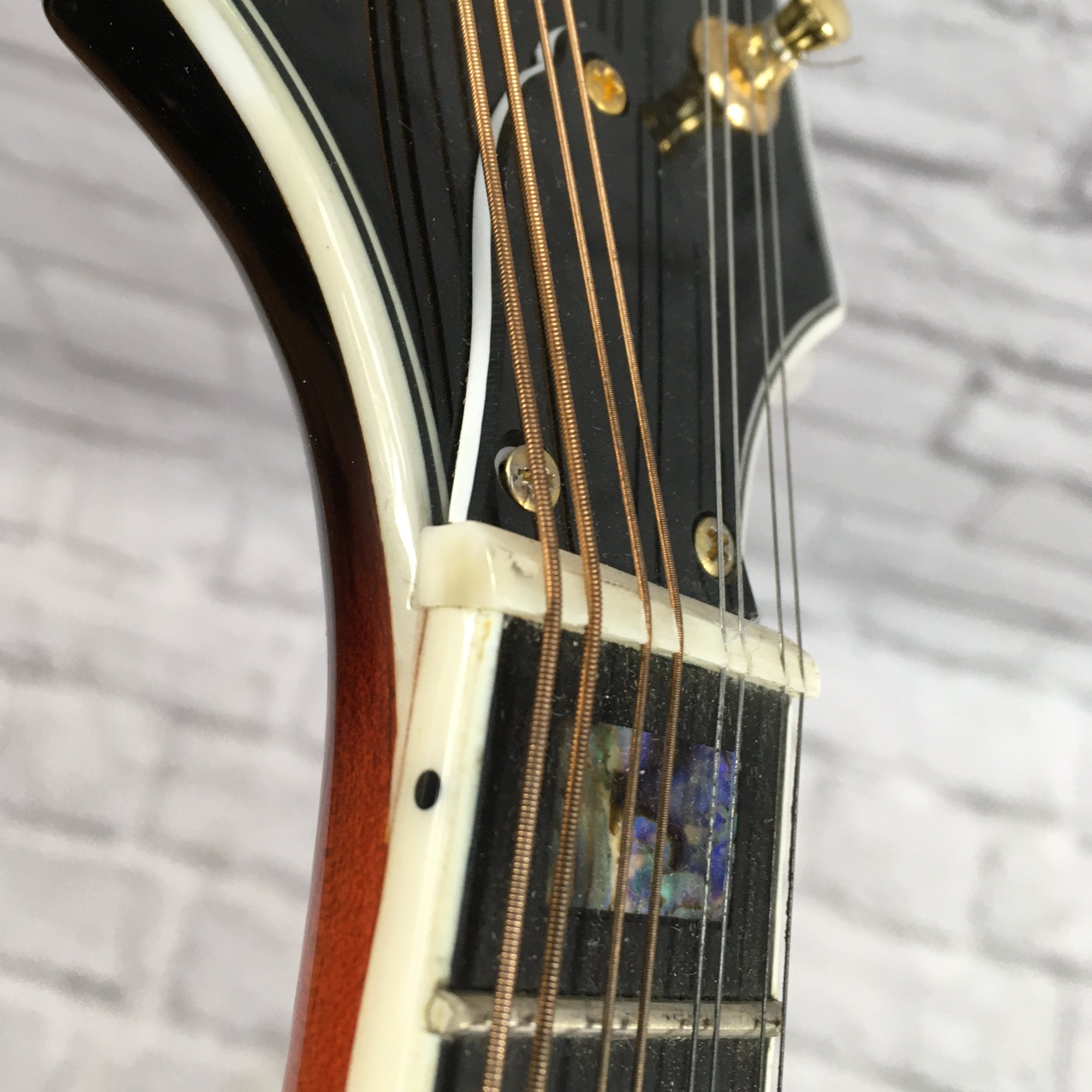 Michael Kelly Mandolin