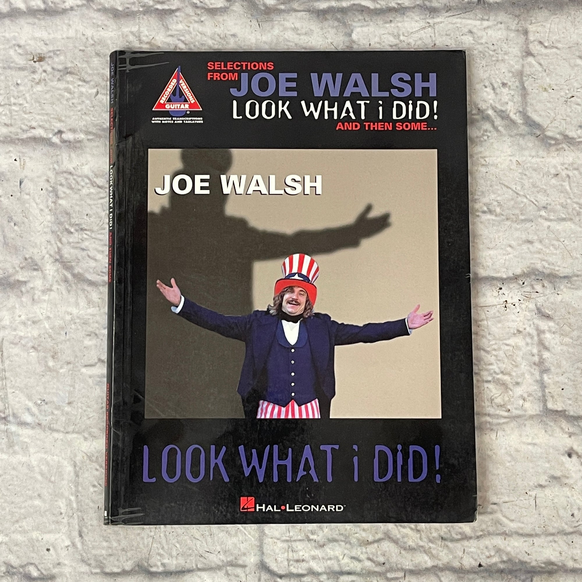 Look What I Did And Then Some By Joe Walsh