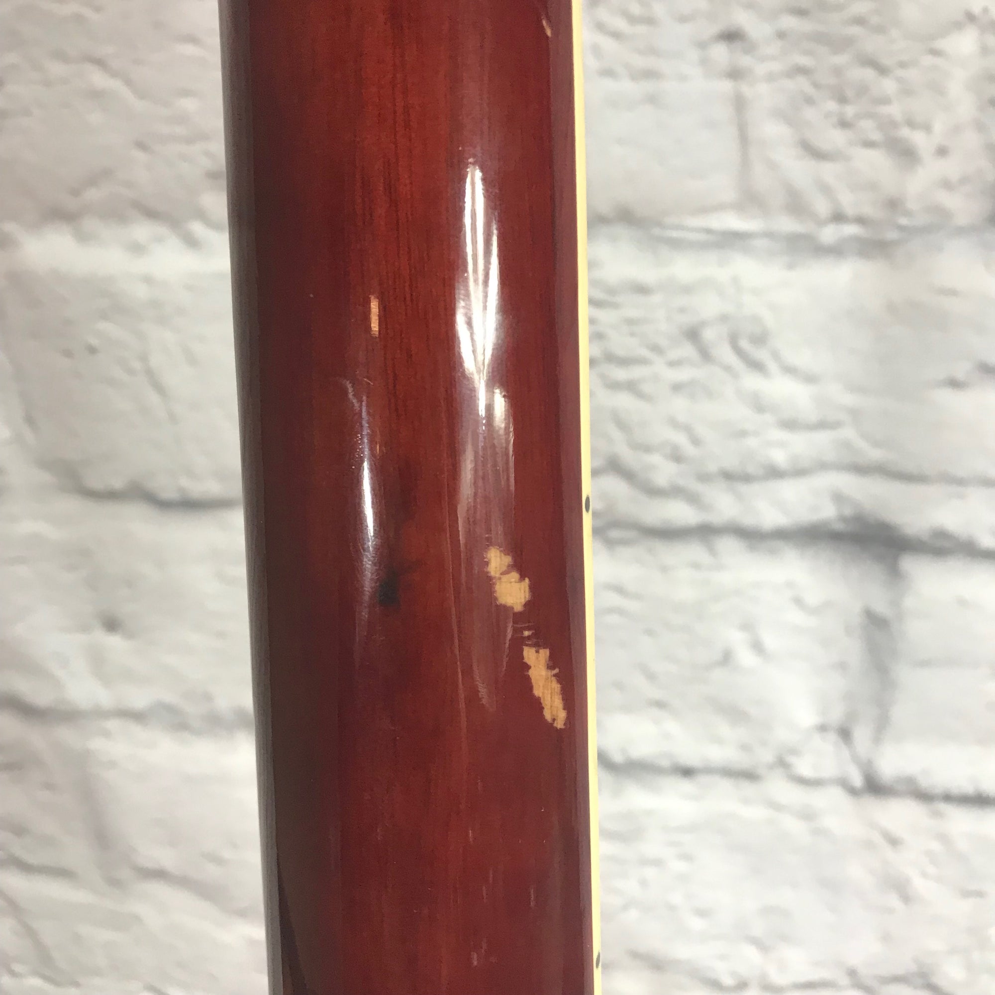 Carlo Robelli CBW410N Acoustic Guitar