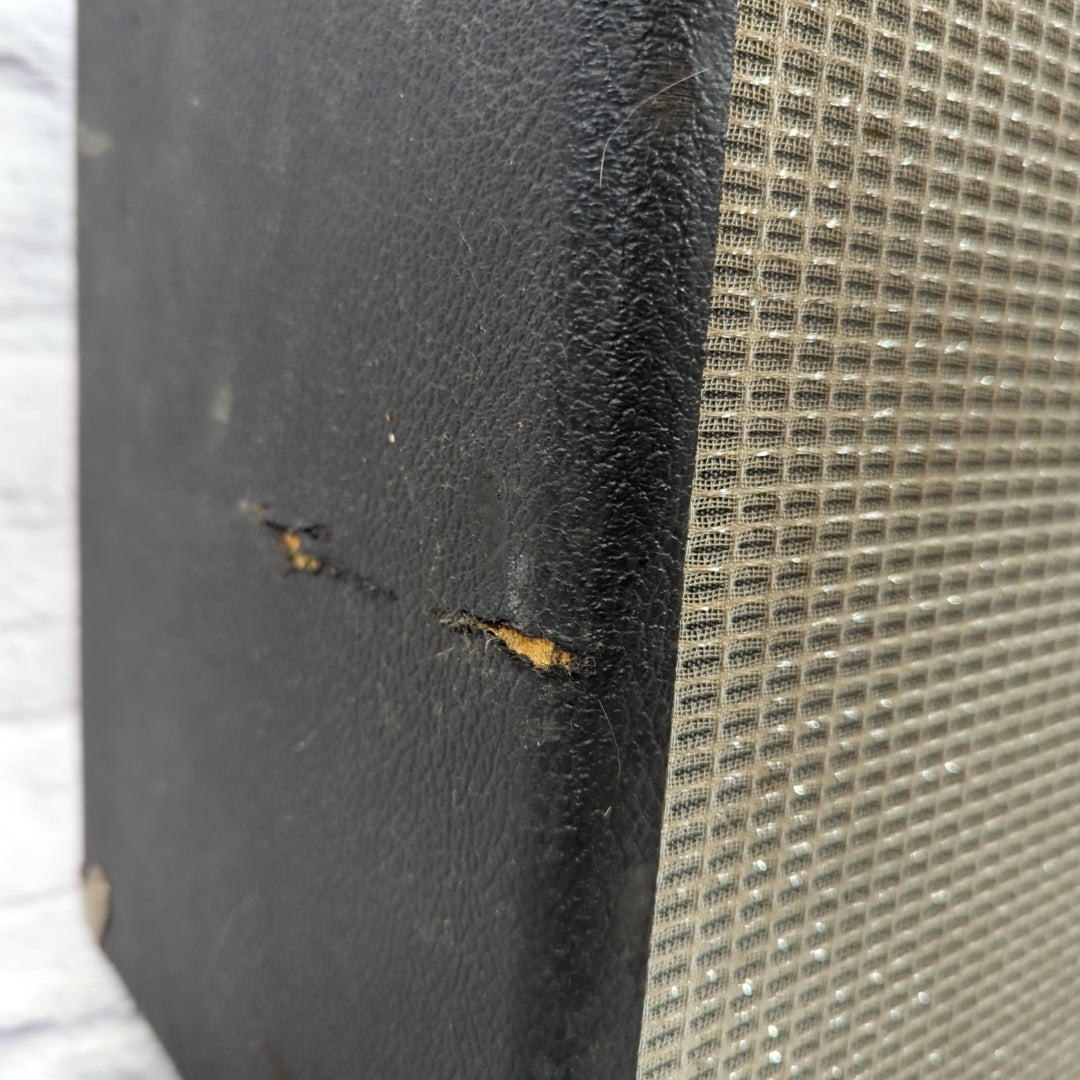 Ernie Ball Music Man C12G 1x12 Cab Cab