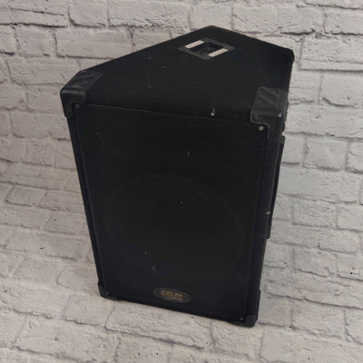 CGM 12 inch 2 Way Wedge Monitor Passive Speaker