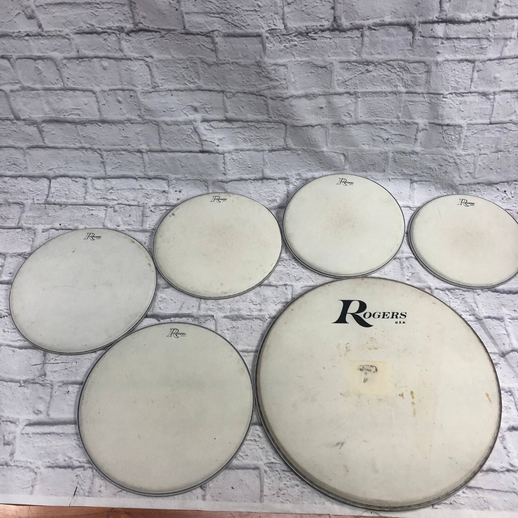Vintage Rogers Drum Head Lot