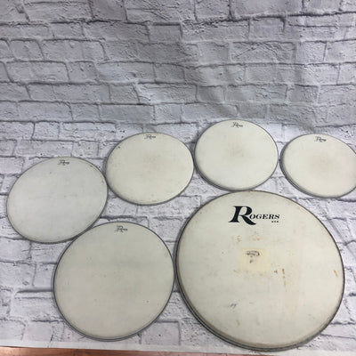 Vintage Rogers Drum Head Lot