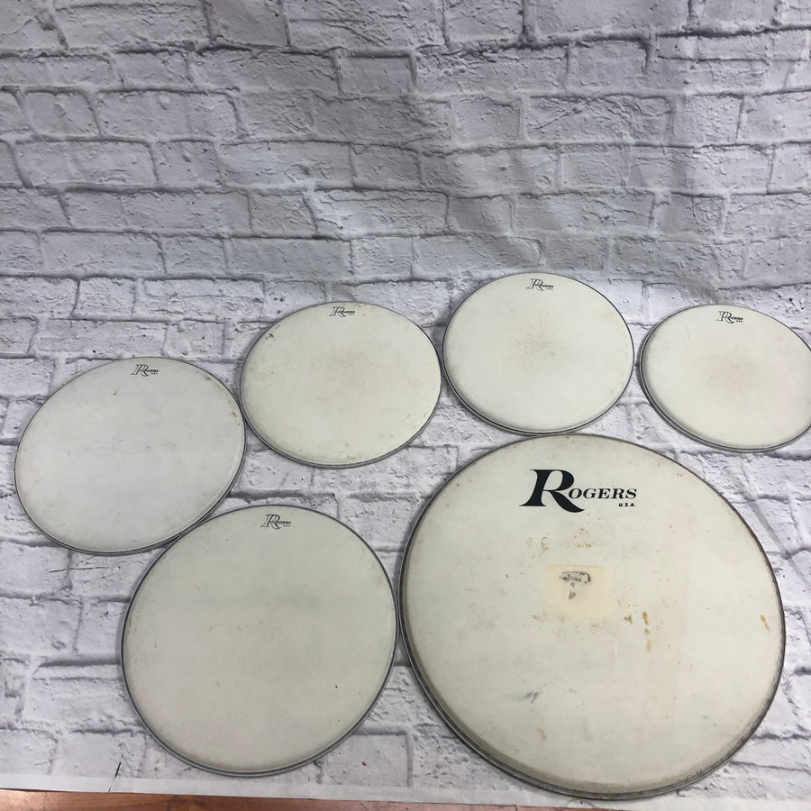 Vintage Rogers Drum Head Lot