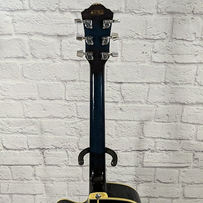 Ibanez AEG10E Acoustic Guitar