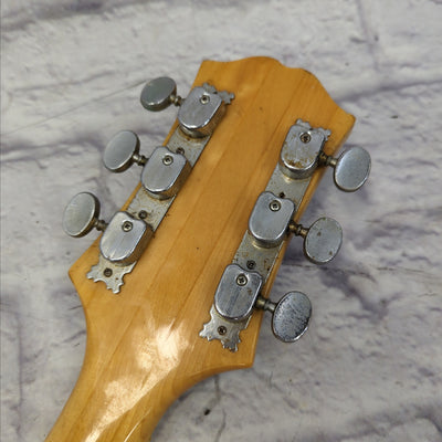 Epiphone Japan Semi Hollow Neck Body Project