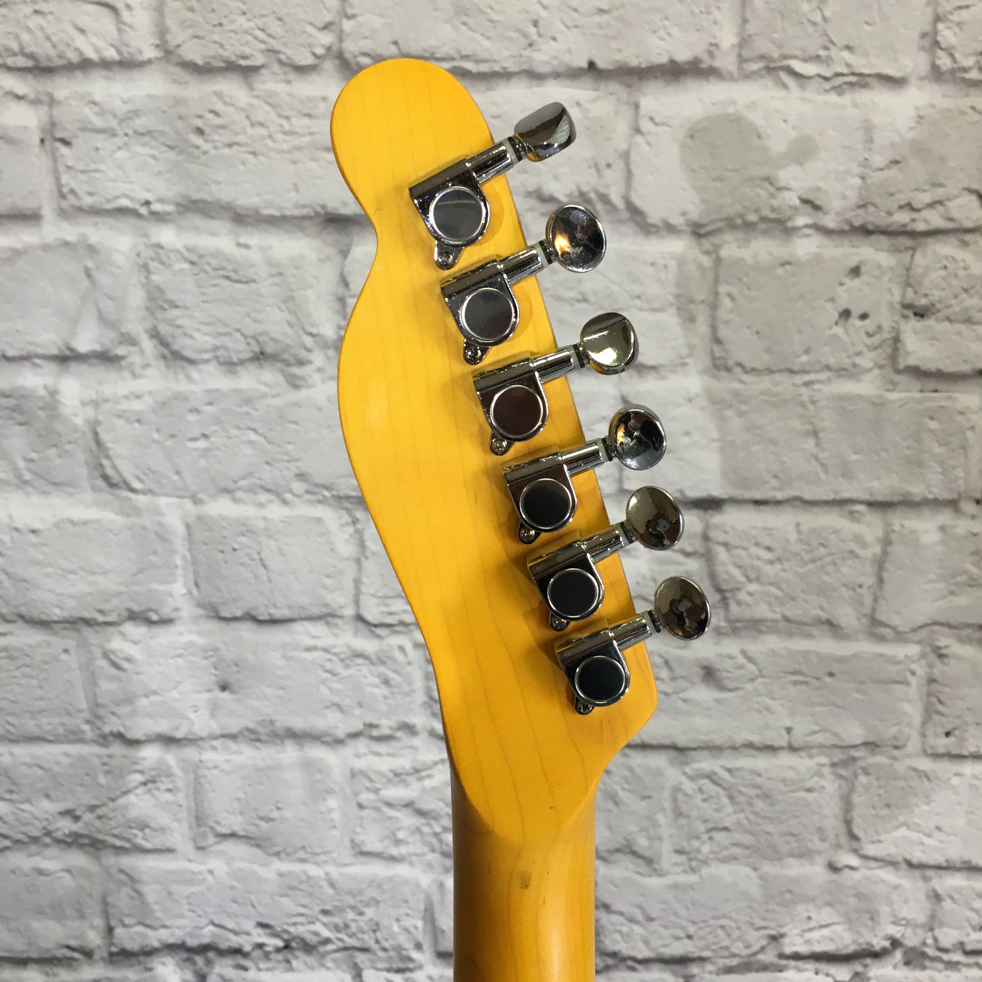 Gatto Tele Style Electric Guitar Trans Black Finish