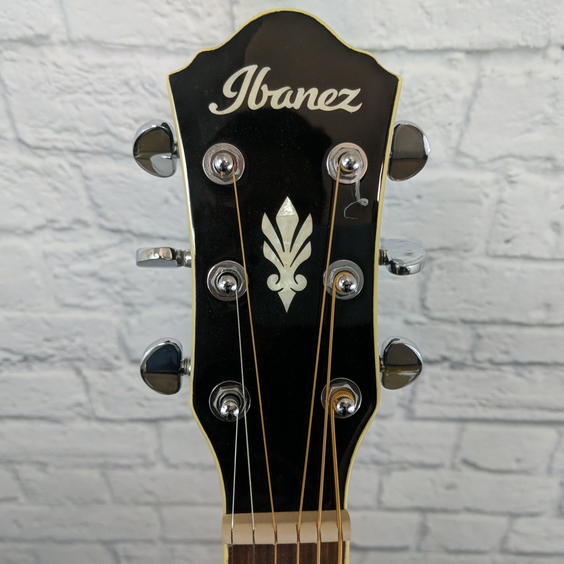 Ibanez AEG10LIIBK Lefty Acoustic Electric Guitar in Black
